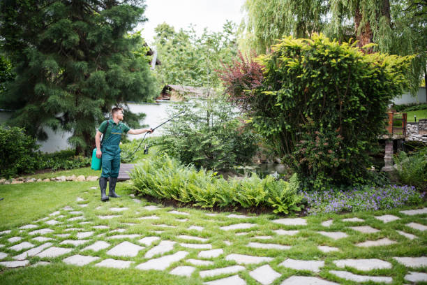 Professional Pest Control in Walnutport, PA