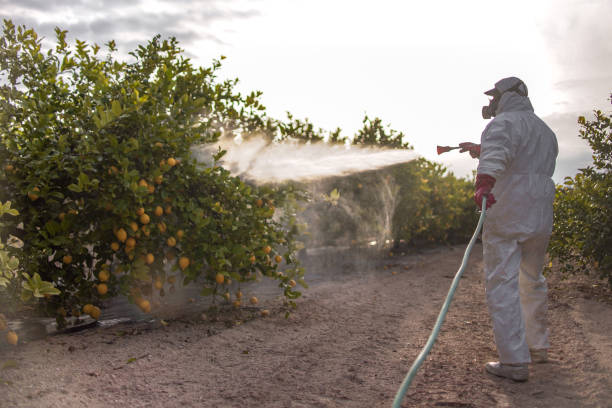 Best Local Pest Control Services  in Walnutport, PA
