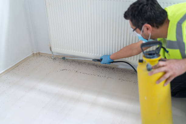 Best Residential Pest Control  in Walnutport, PA